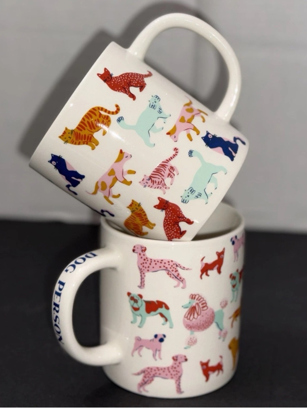 2 Mugs Cat Dog Person 16 oz Coffee Tea Cup Parker Lane